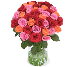 Bild zu Blume Ideal: Blumenstrauß „Autumn Vibes“ mit 44 Rosen für 29,48€