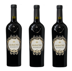 Bild zu Die Weinbörse: 6 Flaschen Barbanera Ammone Appassimento Puglia ab 41,88€ (statt 76,83€)